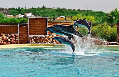 Sia's Luxury Maisonette - Foto 55