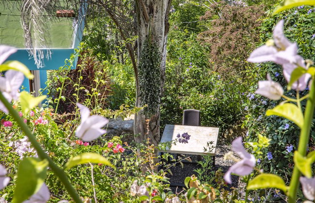 Sunset Palm Lodge - Foto 74