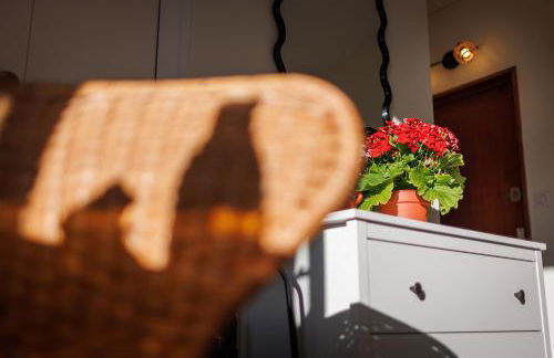 "Aux Grandes Ecoles" Studio Premium cœur de Poitiers - Foto 9