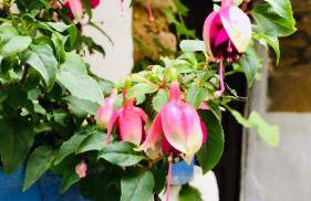 Ático Luz de Córdoba Station parking free center city - Foto 42