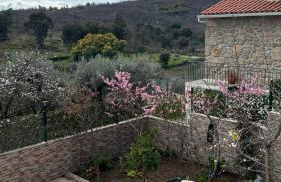 Sofiamarholidays O Cantinho da Avó Bina - Foto 65