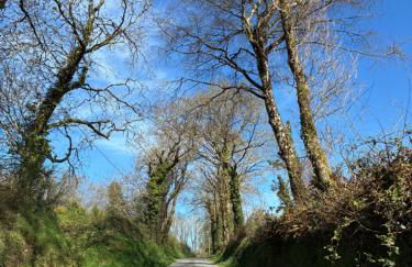 Maison Monts d’Arree 3 chambres - Foto 20