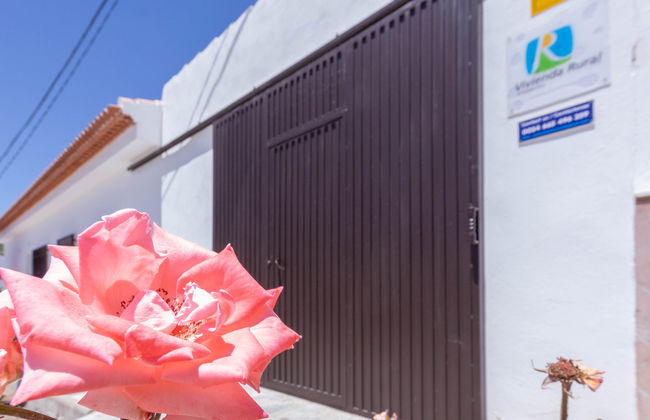 Rural Cacin - Foto 27