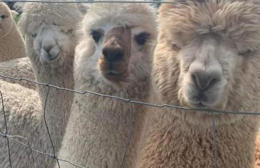 La petite Maison a charming, peaceful cottage in the Countryside - Foto 55