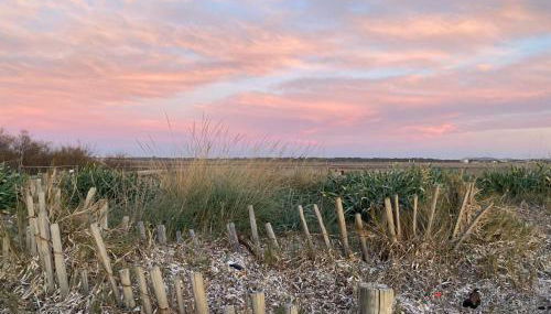 VILLA VUE MER sur la presqu'ile de GIENS - Foto 3