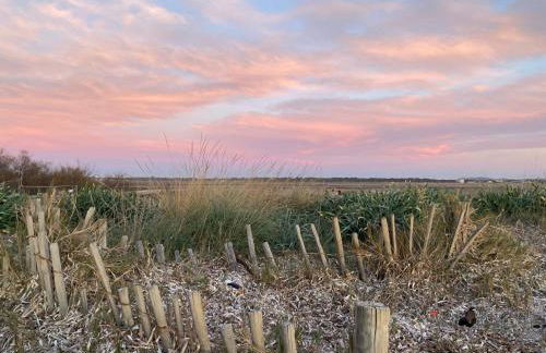 VILLA VUE MER sur la presqu'ile de GIENS - Foto 3