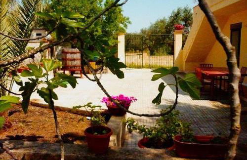 Agriturismo Tenuta La Siesta - Foto 124