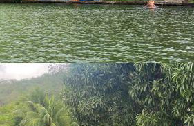 Casa Velho Chico - Foto 16