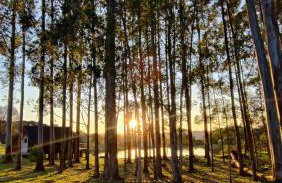 Cabana Terra - Cabanas Recanto do Lago - Photo 54