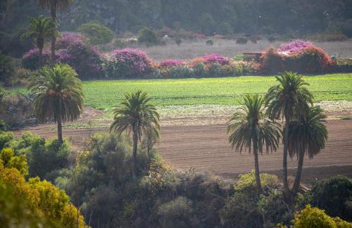 La Casita de Tafira - Foto 48
