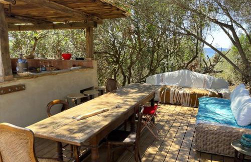 Domaine de la Coletta Maison traditionnelle - Photo 13