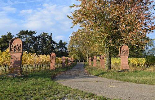 Ferienwohnung auf dem Dorf, Külsheim - Foto 61