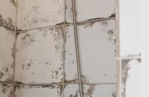 Cleos House - Foto 15