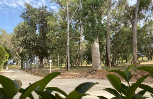 Appartamento D & D - Foto 27