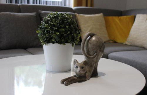 Apartamenty Świstak Maciej Dunajczan - Foto 10