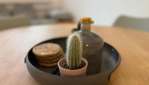 Studio near Altstadt /w Workspace, Feng-Shui & Art - Foto 4