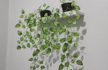 Quarto Marajó 1, próximo ao Aeroporto- cama Casal - Foto 16