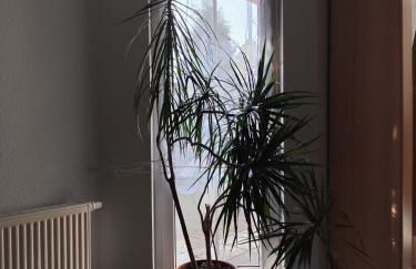 Ferienwohnung Hartmann - Foto 15