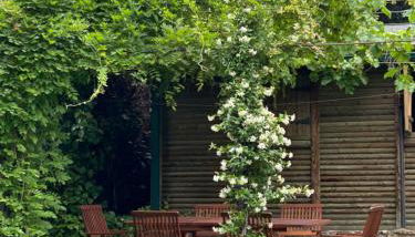 Villa Aurelia - Casa de campo con jardín y piscina entre Madrid y Segovia - Foto 2, Garden, Garden view