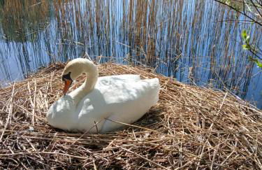 The Lakehouse on Windrush - Foto 28