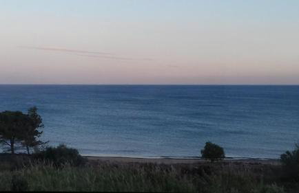 Margarita House - Photo 75