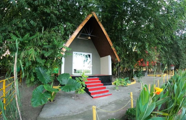 Pobitora Village Eco Camp - Foto 9