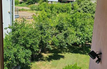 Hillside View Home - Photo 24