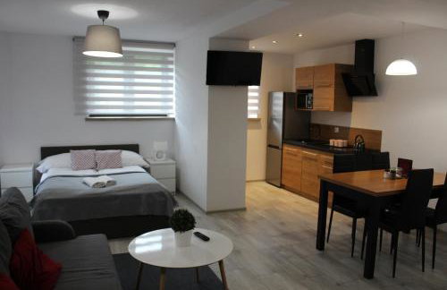 Apartamenty Świstak Maciej Dunajczan - Foto 3