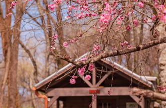 Ryon Tiny Home Cabin City-side Rustic Retreat - Foto 28