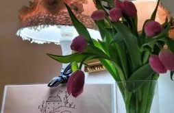 La Casina di Naty - Foto 1