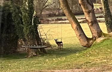 Ferienwohnung im Grünen - Photo 16