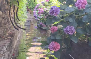 Gîte 2 "Le Tilia " aux magnolias 3 étoiles - Foto 24