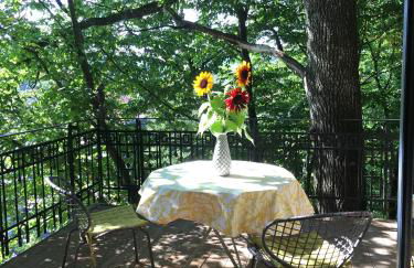 Baumhaus auf dem Kellerberg - Foto 15