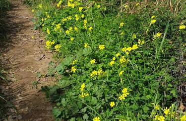 Casa Marlo, Spacious House in the Lively Centre of Cómpeta - Foto 62
