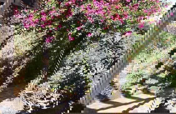 Agroturismo La Gayria - Photo 31