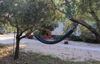 Delux apartments Villa Mihaela - Foto 41