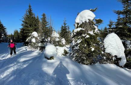 "Glück auf" Lichtdurchflutete schicke Ferienwohnung in Zwickau - Foto 49