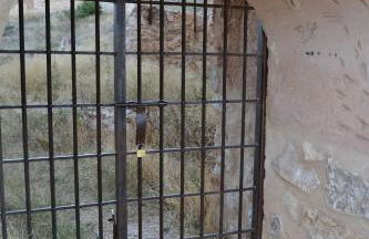 Las Casas de la Vega - Foto 67