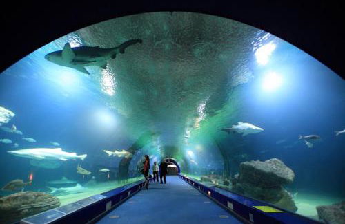 Casa Rural con piscina privada en casco urbano de Náquera Botigueta 25 - Foto 66