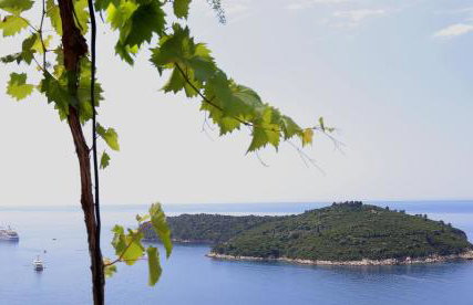 Exclusive Old Town and Sea View Apartments - Photo 22