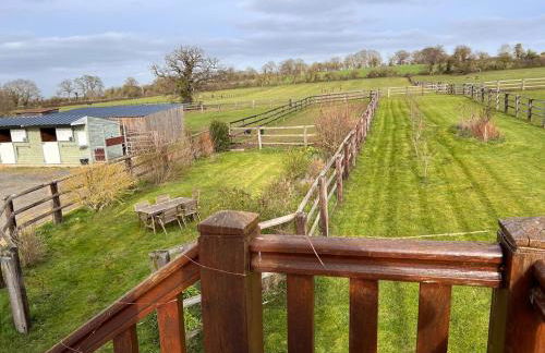 Gîte dans un petit haras - Foto 41