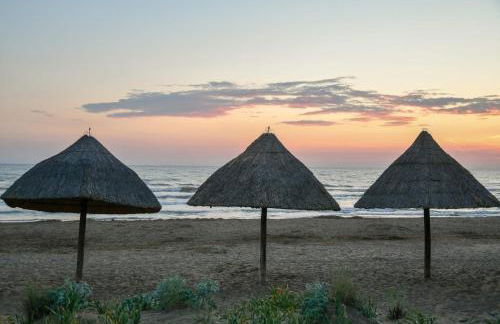 MATTE VITTO - Foto 20