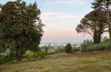 Métairie de Moutiques - Photo 45