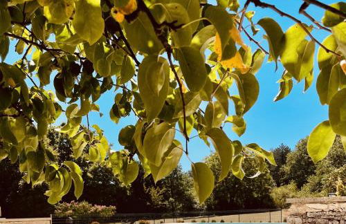 Le Domaine de Camberoux La Grande Longère - Foto 14