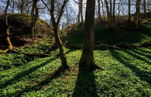 1 Bed in Hawes oc-94120 - Photo 23