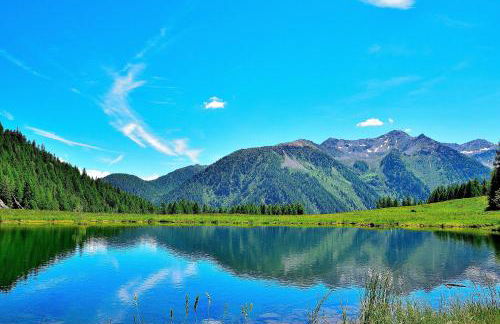 Casa Bamby - Foto 42