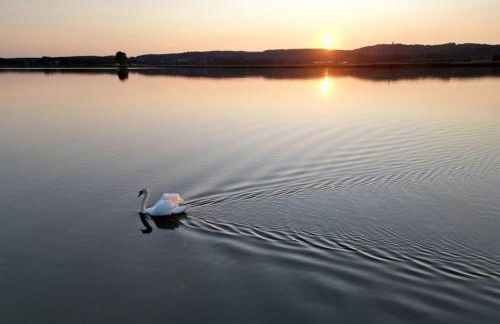 Uns Lütje Hus - a69869 - Foto 23