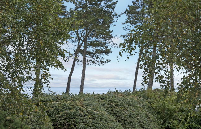 "Stamen" - 200m from the sea - Foto 10