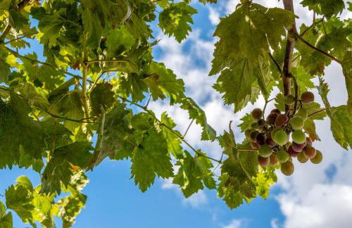 Alojamiento Los Pradillos - Foto 26