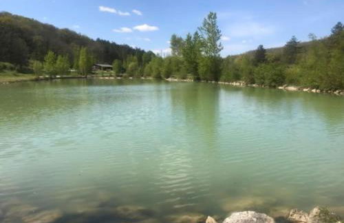 Chalet au milieu de la forêt avec lac à proximité - Foto 22